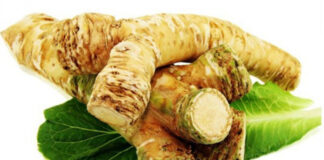 Uz hren je lakše mršavjeti, ali i inhalirati se i izliječiti viroze