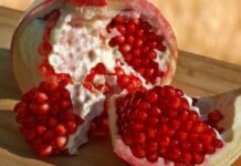 Sezona je šipka ili nara, jedne od najstarijih vrsta voća poznatih čovječanstvu